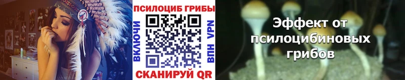 ОМГ ОМГ зеркало  Тобольск  Псилоцибиновые грибы Psilocybe 